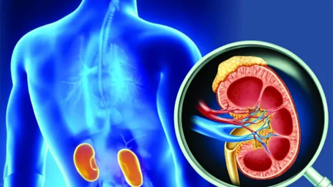 BeFunky-collage-32-2508031530-678x381-2