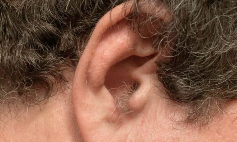 1762015760-2db50d1d6f2a2882a4fbc2074d6a10a1